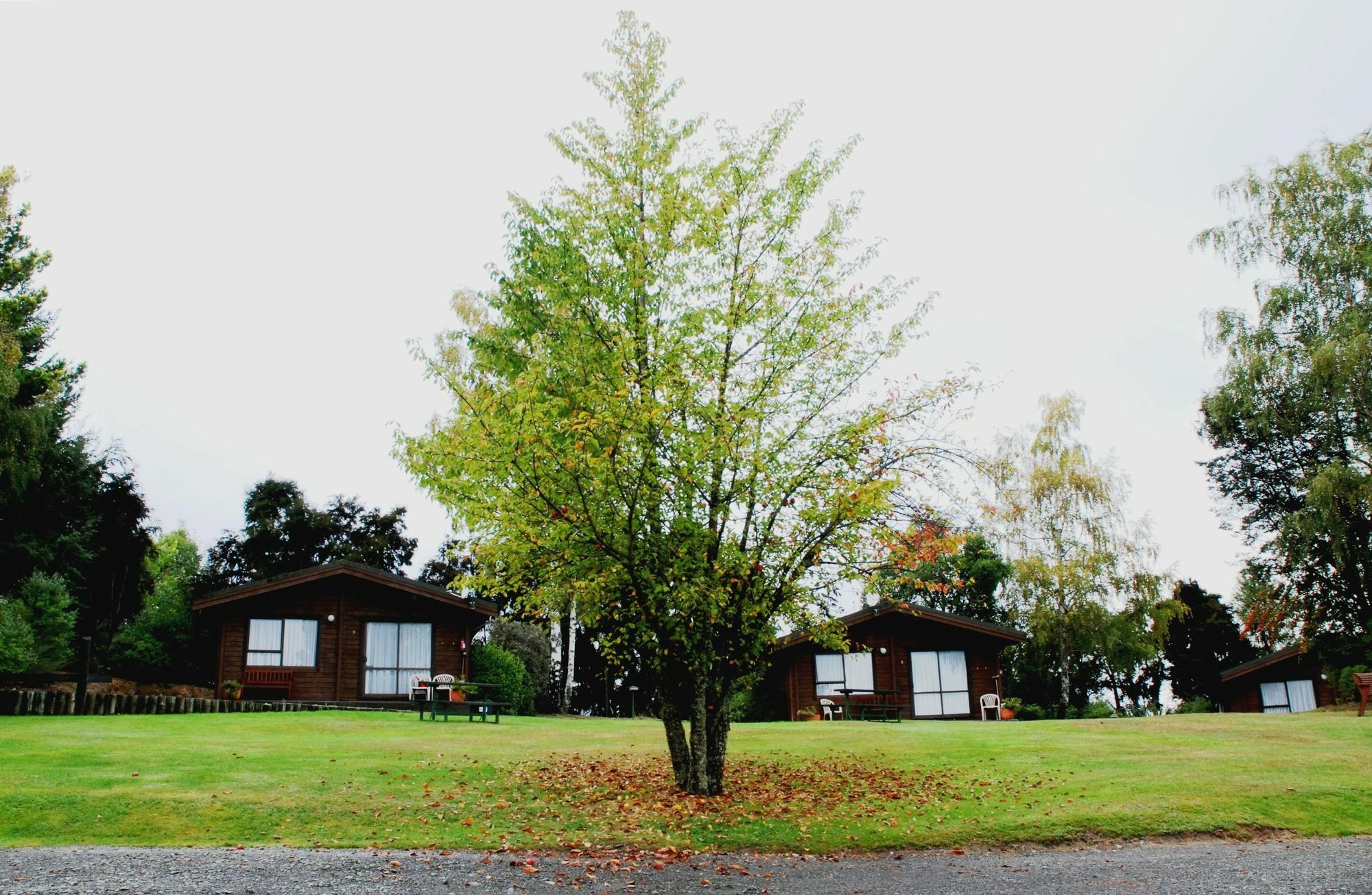 האנמר ספרינגס The Chalets Motel מראה חיצוני תמונה