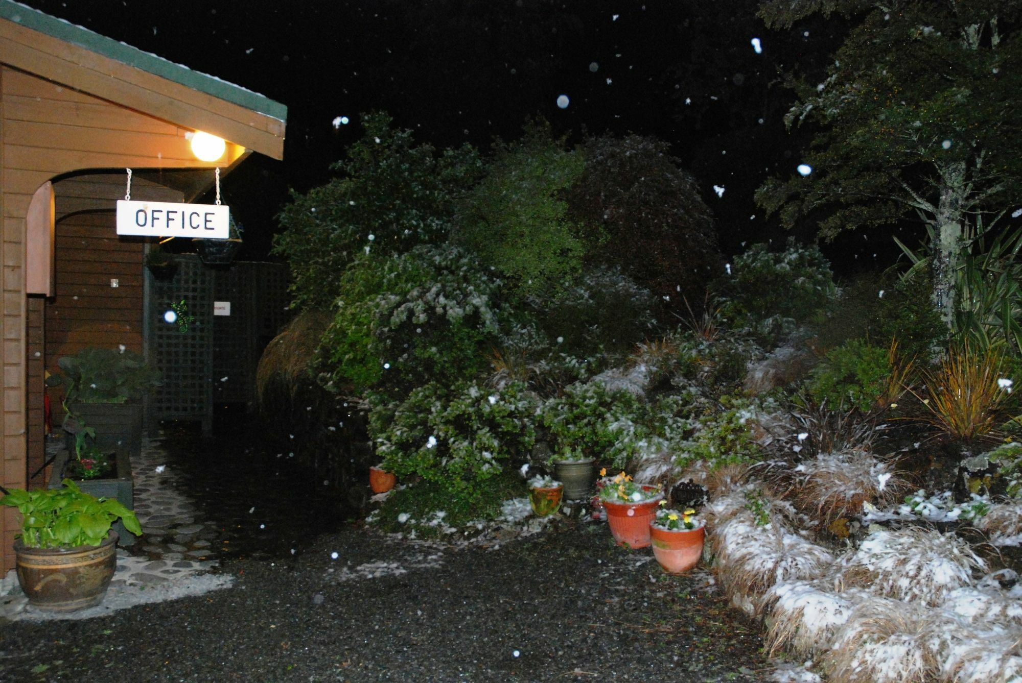 האנמר ספרינגס The Chalets Motel מראה חיצוני תמונה